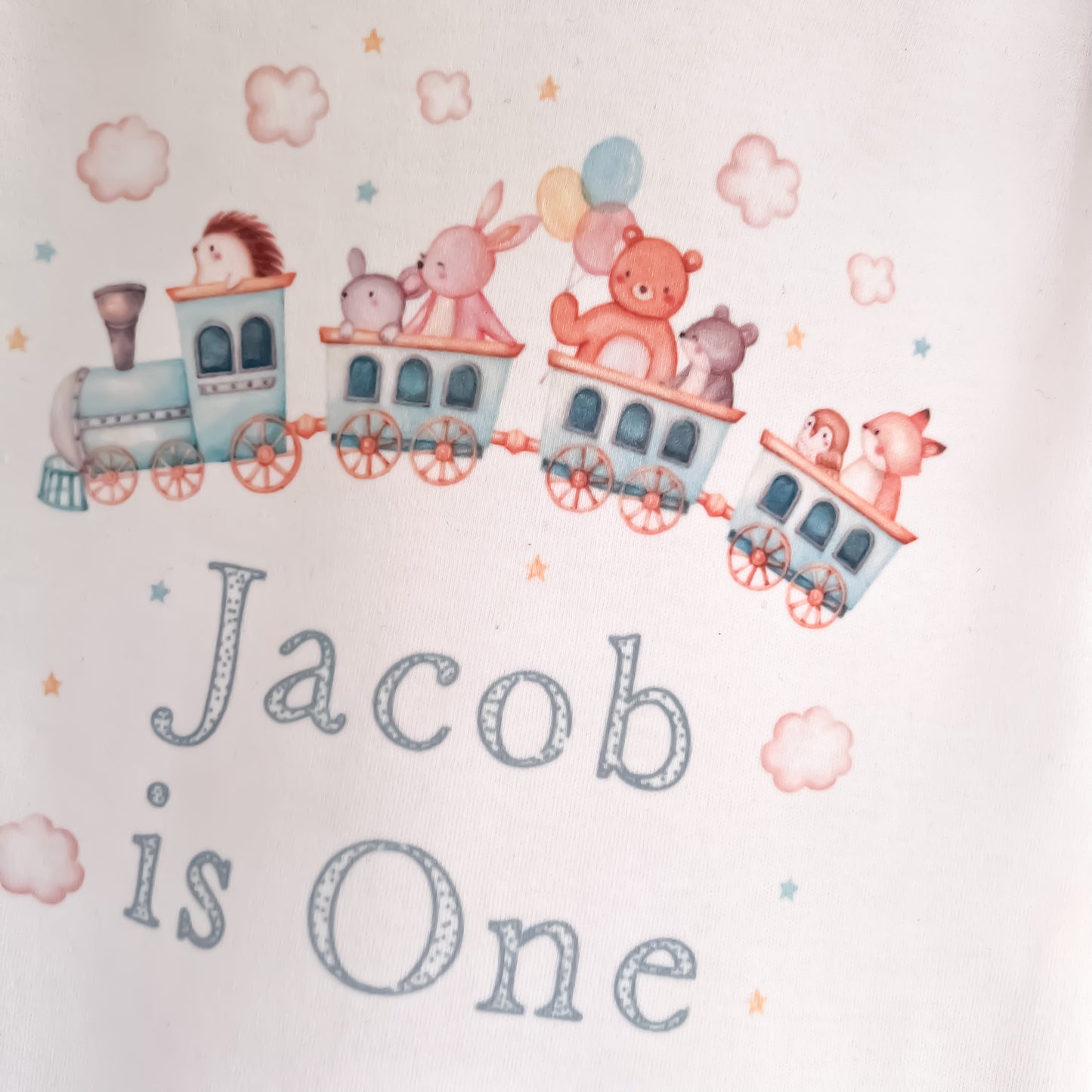 1st birthday bodysuit, birthday vest, birthday bodysuit, 1st birthday outfit, first birthday, one vest, one bodysuit,