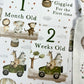 baby milestone cards, Safari Adventure