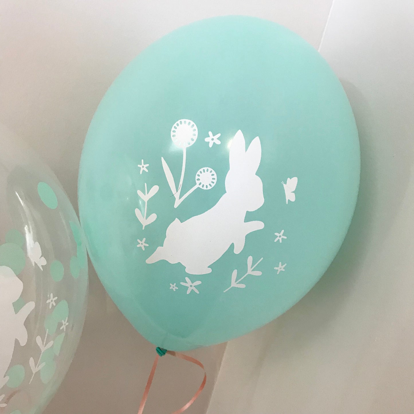 Peter Rabbit Party Balloon, Confetti Balloon, Cake Smash, Birthday Balloon, Christening, Baby Shower,