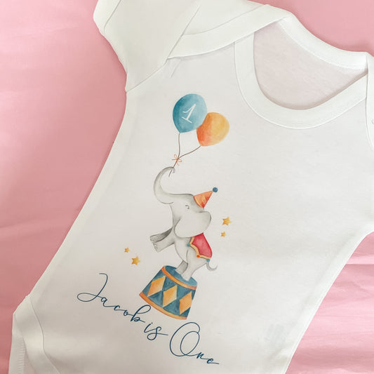 1st birthday bodysuit, birthday vest, birthday bodysuit, 1st birthday outfit, first birthday, one vest, one bodysuit, circus