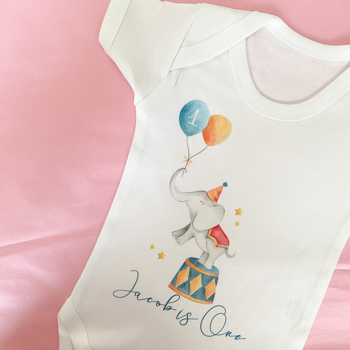 1st birthday bodysuit, birthday vest, birthday bodysuit, 1st birthday outfit, first birthday, one vest, one bodysuit, circus