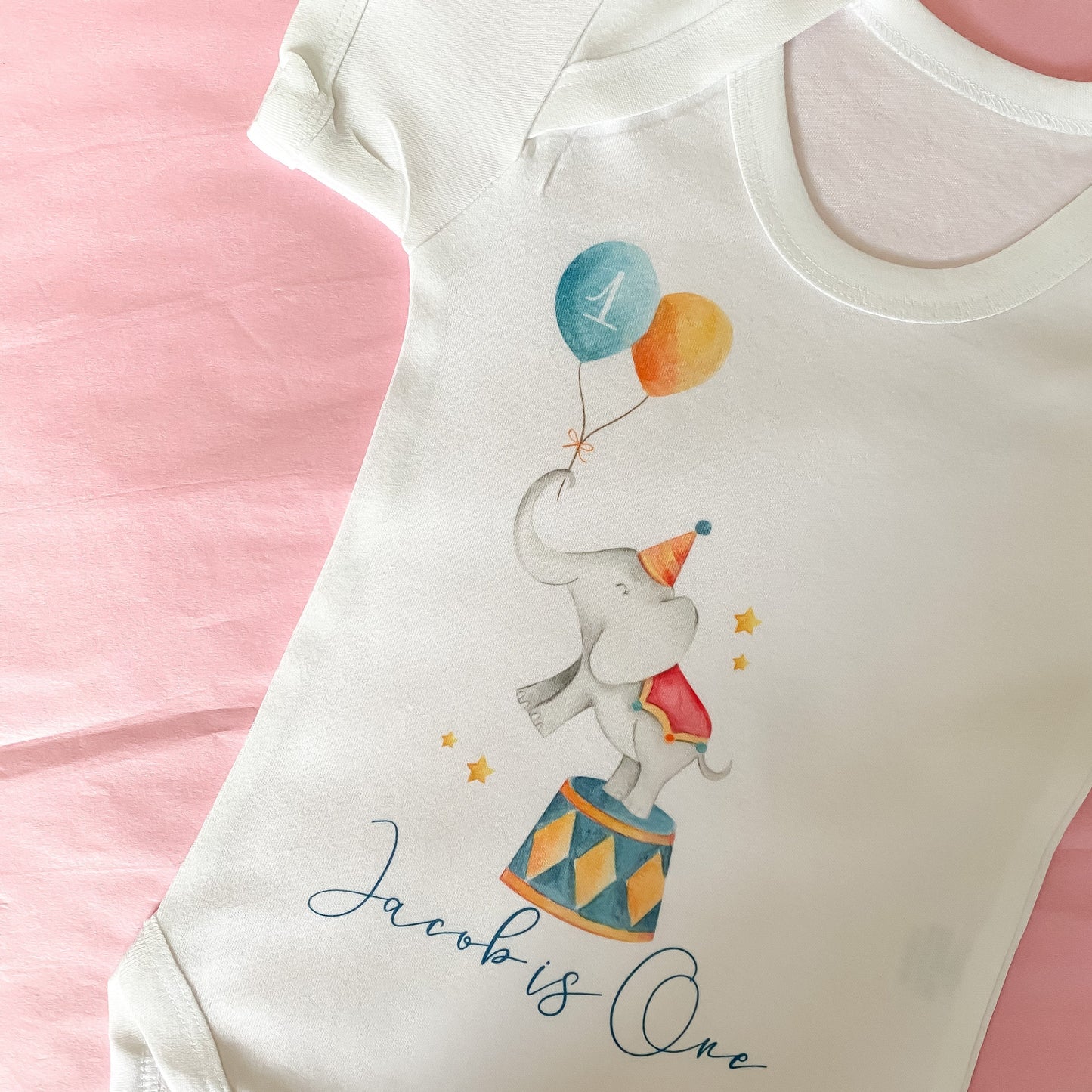 1st birthday bodysuit, birthday vest, birthday bodysuit, 1st birthday outfit, first birthday, one vest, one bodysuit, circus