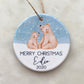 Christmas decoration, polar bear